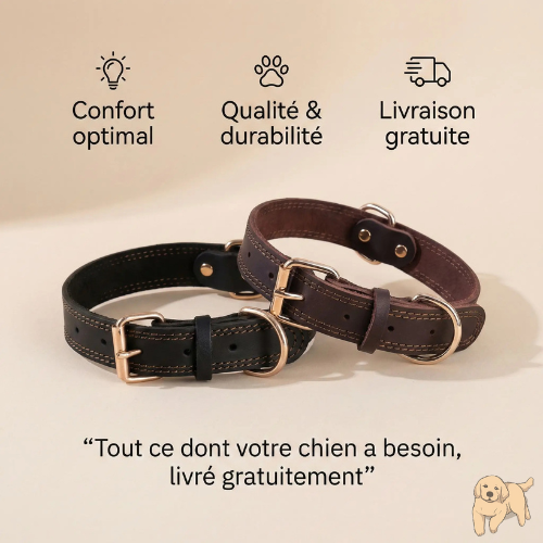 Le collier ergonomique | RoyalDogâą