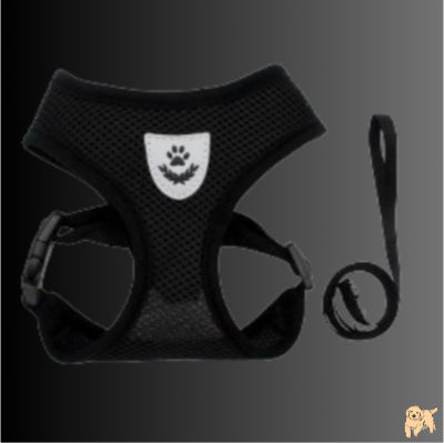 harnais-chien-noir-ropedog