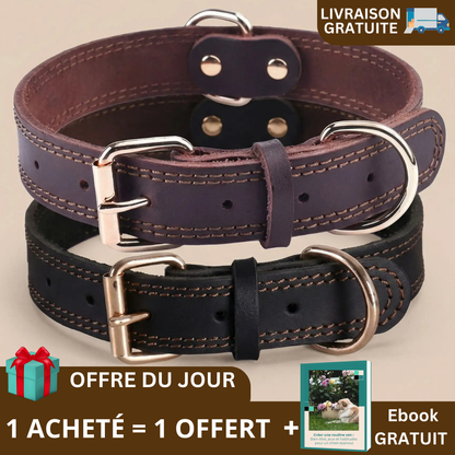Le collier ergonomique | RoyalDog™