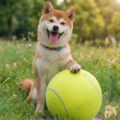Balle Géante Fun | ToyDog™