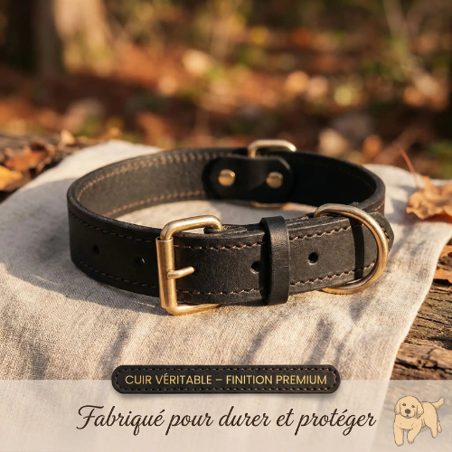 ConfortTail Luxe | RoyalDog™