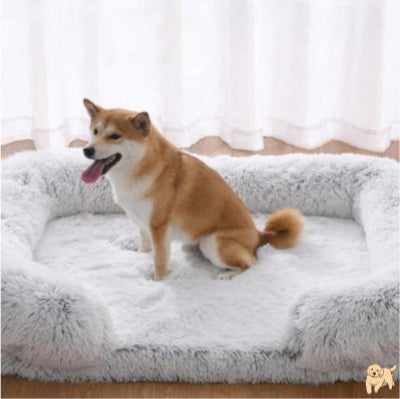 canapé-pour-chien-repos-sleepingdog