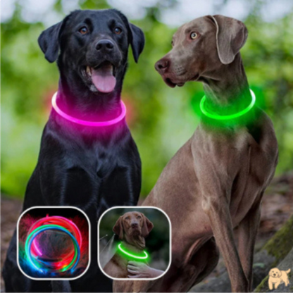collier-lumineux-chien-confortable-leddog