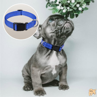 collier-pour-chien-confortable-safetydog