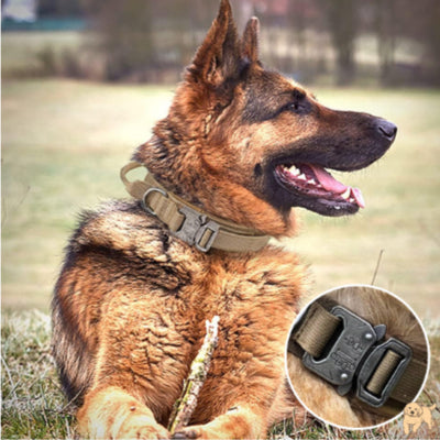 collier-pour-chien-durable-tacticaldog