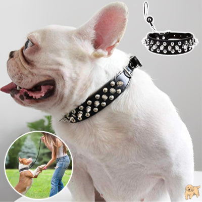 collier-pour-chien-noir-rivetdog
