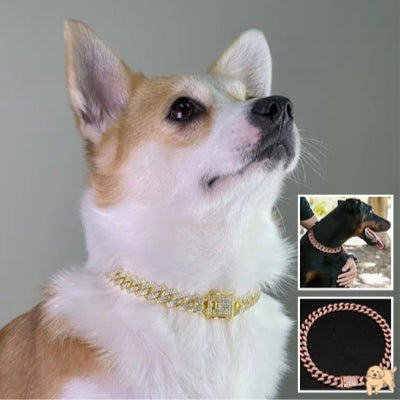 collier-pour-chien-premium-diamonddog