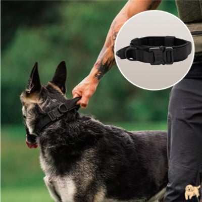 collier-pour-chien-resistant-tacticaldog