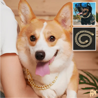 collier-pour-chien-robuste-diamonddog
