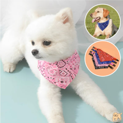 collier-pour-chien-rose-bandanadog