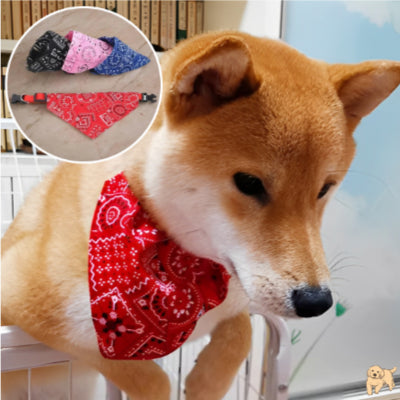 collier-pour-chien-rouge-bandanadog