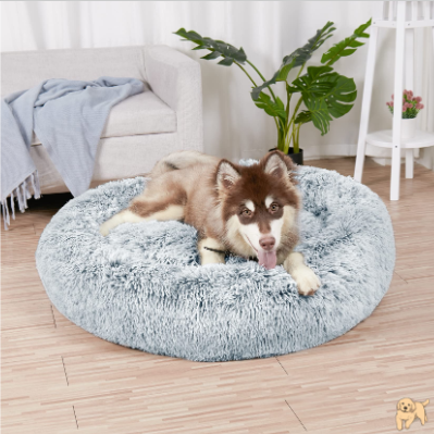 coussin-chien-apaisant-beddog