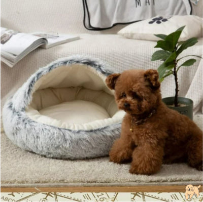 coussin-chien-chaud-coverdog