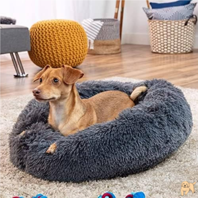 coussin-chien-confortable-beddog