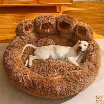 coussin-chien-confortable-sofadog