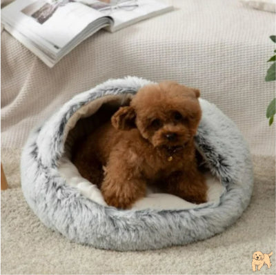 coussin-chien-gris-coverdog