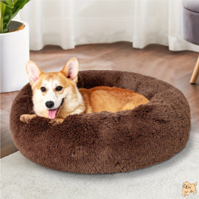 coussin-chien-marron-beddog