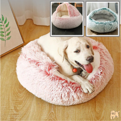 coussin-chien-rose-coverdog