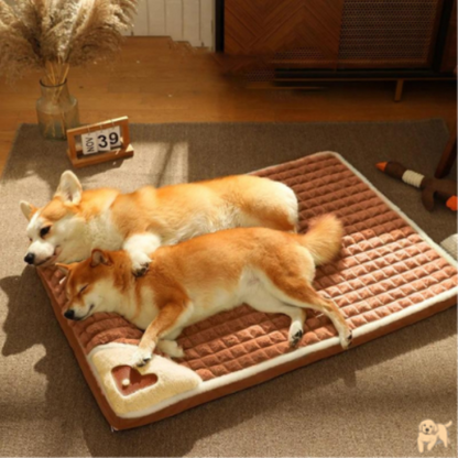 coussin-pour-chien-durable-matdog