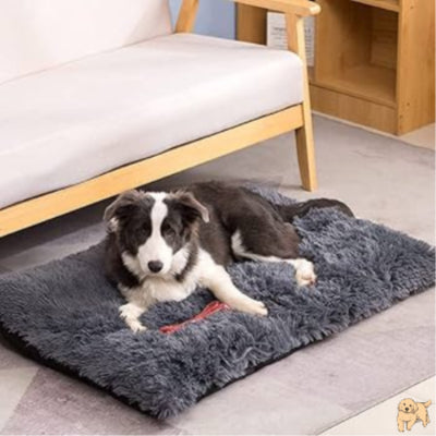 coussin-pour-chien-lit-plushdog