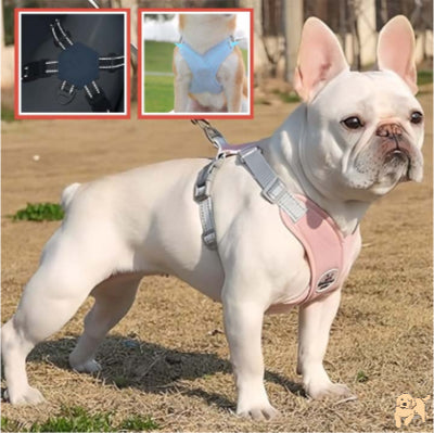 harnais-chien-confortable-meshdog