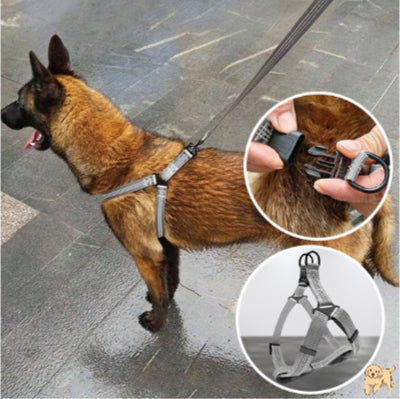 harnais-chien-pratique-flexidog