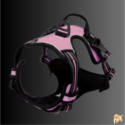 harnais-chien-rose-fitdog