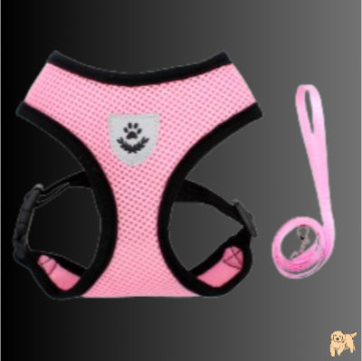 harnais-chien-rose-ropedog