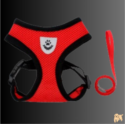 harnais-chien-rouge-ropedog