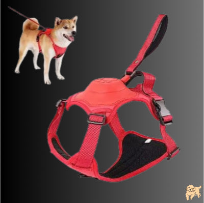 harnais-chien-rouge-twistdog
