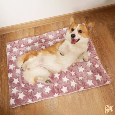 lit-pour-chien-confortable-warmdog