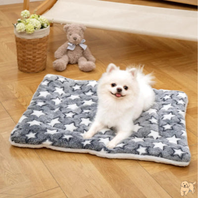 lit-pour-chien-gris-warmdog