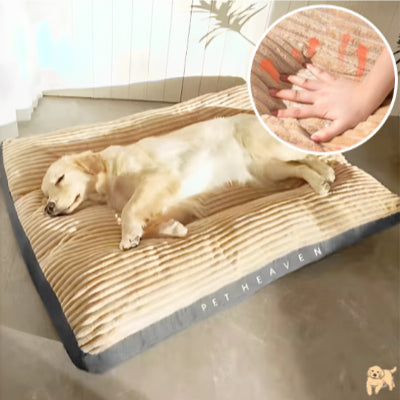 tapis-pour-chien-beige-fluffydog