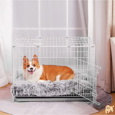 tapis-pour-chien-confort-zendog