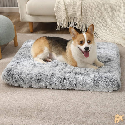 tapis-pour-chien-durable-zendog