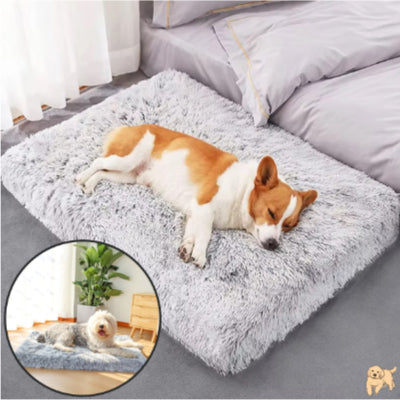 tapis-pour-chien-gris-clair-zendog