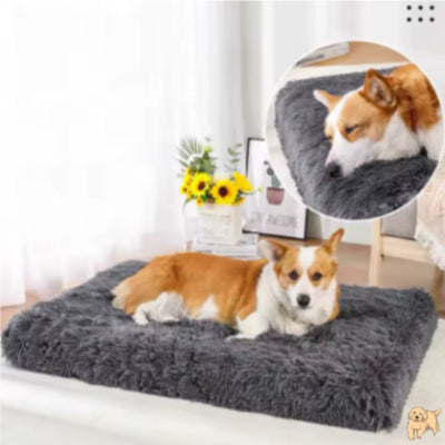 tapis-pour-chien-gris-zendog