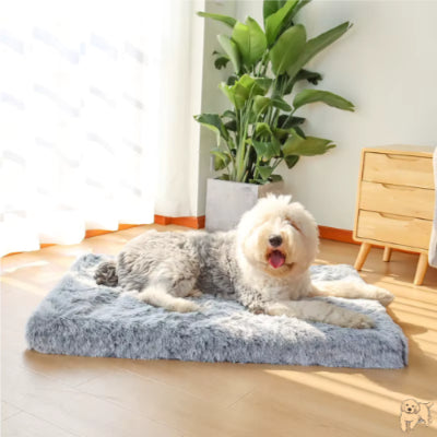 tapis-pour-chien-polyvalence-zendog