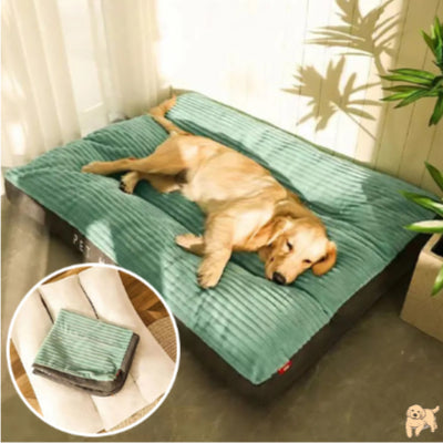 tapis-pour-chien-vert-fluffydog